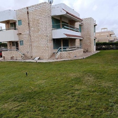 Spacious 5-Bed House In Alamein With Large Garden Majid Abu Zayd Exteriör bild